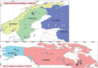 Fire Dynamics in Boreal Forests Over the 20th Century: A Data-Model Comparison